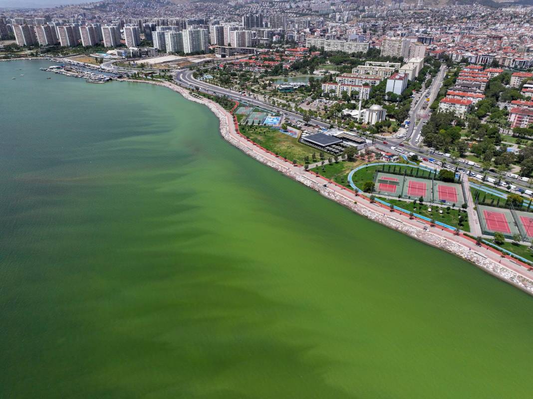 İzmir’de denizin rengi değişti! Görüntü ne ifade ediyor? 11